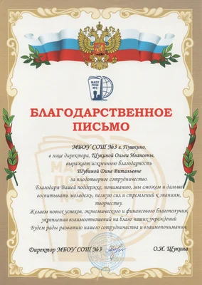 МБОУ СОШ №3